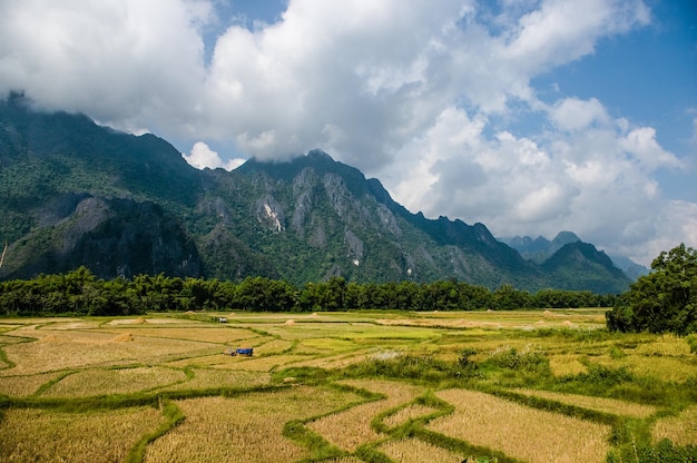Campo verde e montanha contra o céu