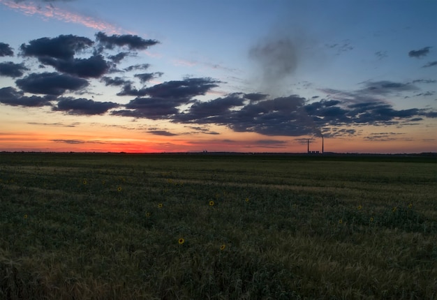 Campo verde e pôr do sol colorido. Foto aérea, feita por drones