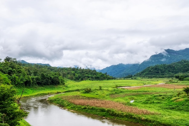 Campo verde e rio curvo na montanha