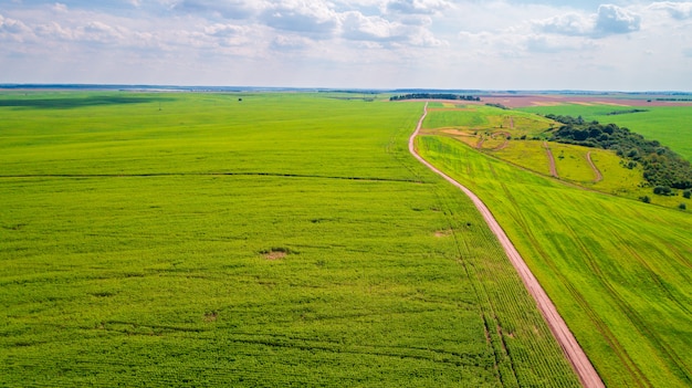 El campo verde está al atardecer disparado con el drone.