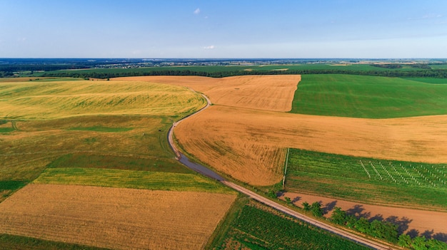 El campo verde está al atardecer disparado con el drone.