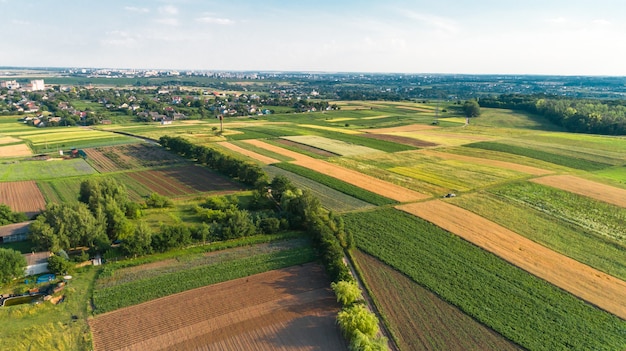 El campo verde está al atardecer con el dron.