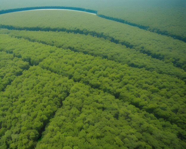 Un campo verde con una línea azul en el medio.