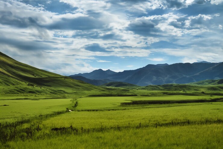 Un campo verde con una montaña en el fondo