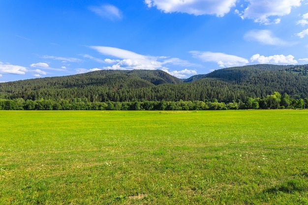 Campo verde con la montaña Tatras al fondo en el campo