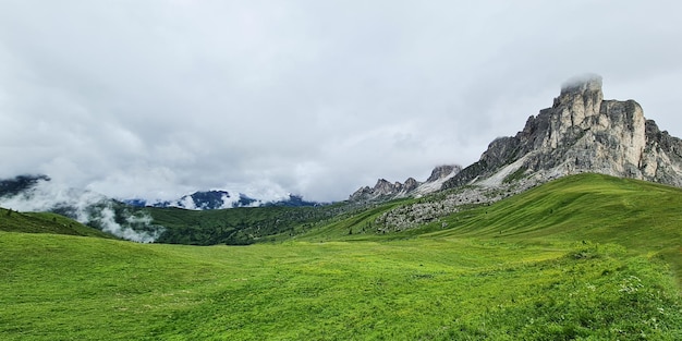 Un campo verde con montañas al fondo.