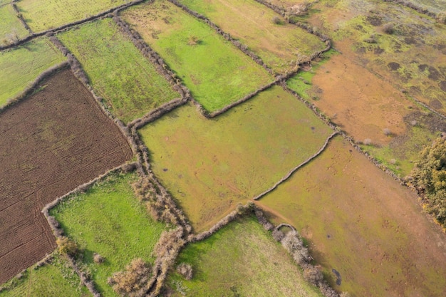 Un campo verde con una pequeña cerca en el medio