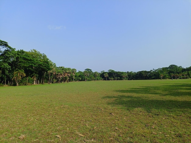 campo verde del pueblo