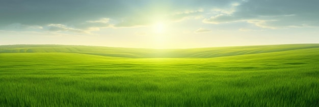 Campo verde vibrante de hierba en crecimiento en la cálida luz del sol amplio paisaje panorama minimalista Ilustración de IA generativa