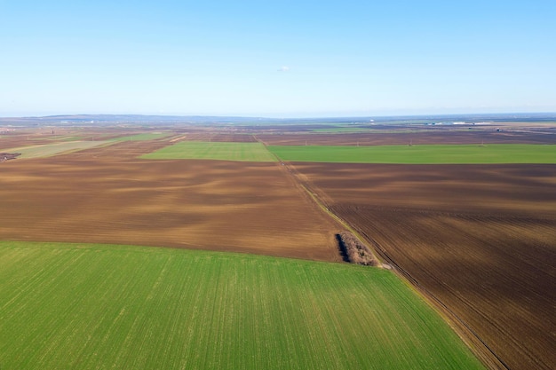 Campo verde vista aérea