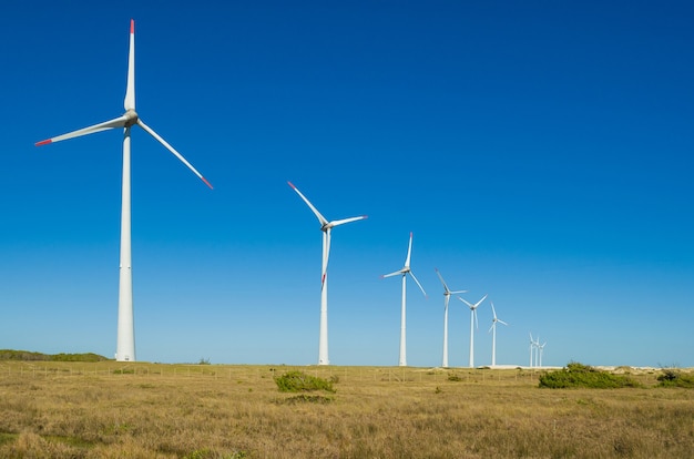 Campo de viento con turbinas eólicas que producen energía eólica