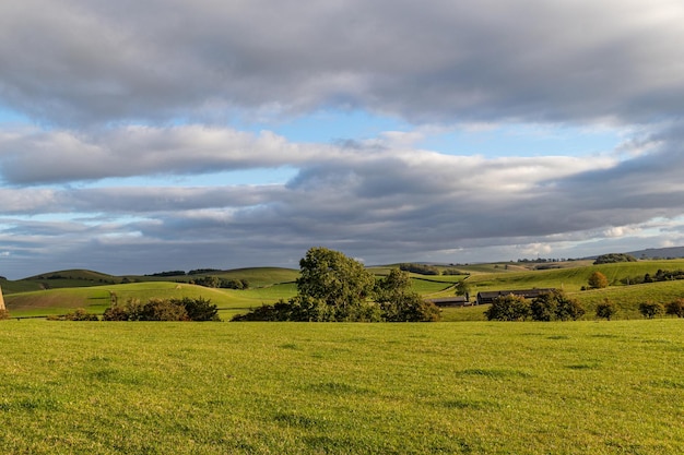 Un campo con vista a las colinas y árboles.