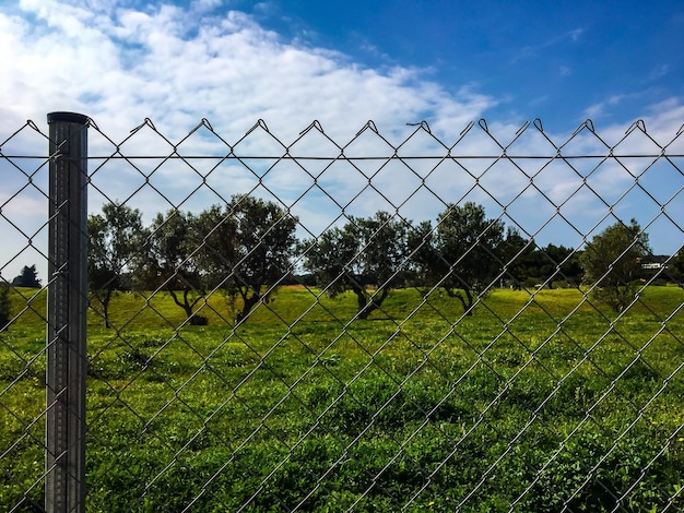 Foto campo visto através de uma cerca de cadeia contra o céu