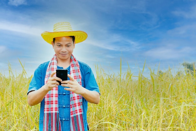 Camponeses asiáticos em vestes e chapéus estão em um campo de arroz dourado