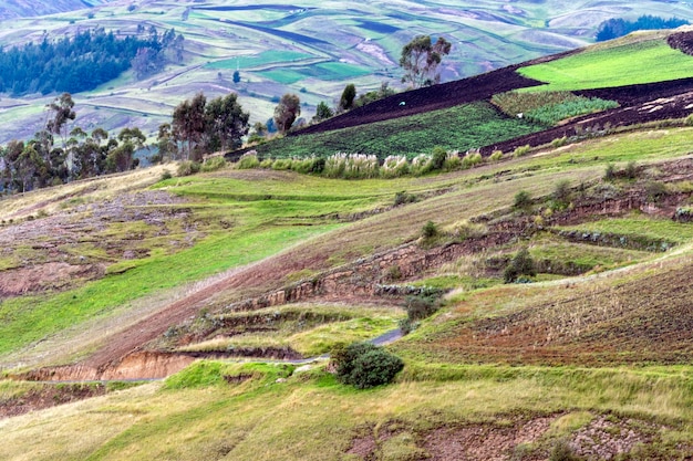 Campos agrícolas andinos Colta Equador