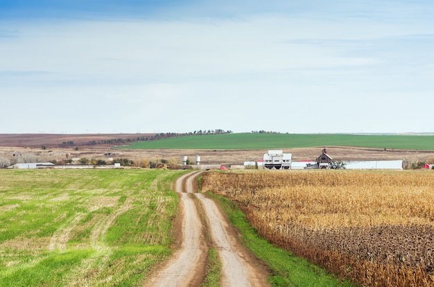 Campos agrícolas, el camino a la granja