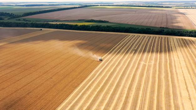 Campos agrícolas en el campo