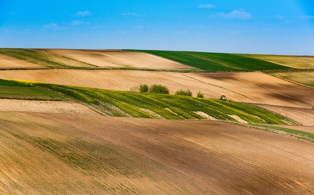 Campos agrícolas coloridos em Coutryside Farmland and Fields a