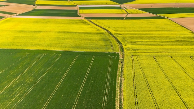 Campos agrícolas coloridos na vista aérea de drones de primavera