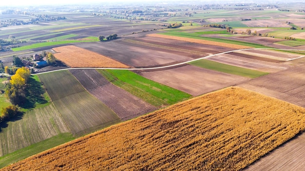 Campos agrícolas coloridos na zona rural na polônia vista aérea de drone