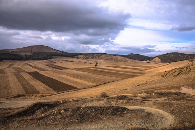 Campos agrícolas en montaña