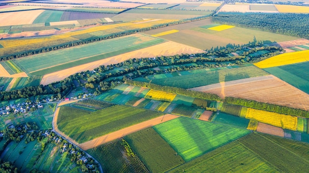 Campos agrícolas no campo, vista de um drone