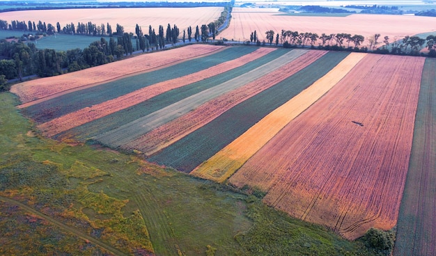 Foto campos agrícolas no campo, vista de um drone