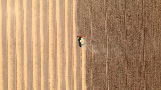 Campos agrícolas no campo