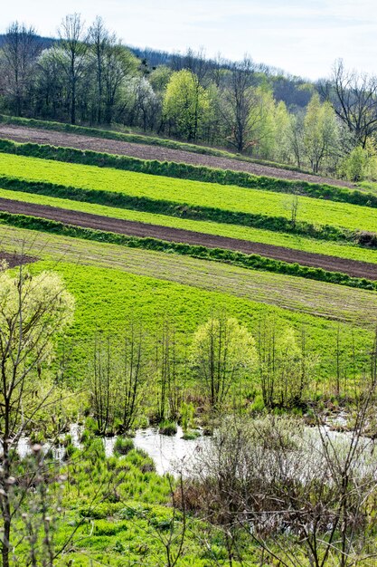 Campos agrícolas privados geométricos cerca de lagos