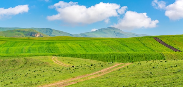 Campos agrícolas verdes cultivados com céu azul e nuvens