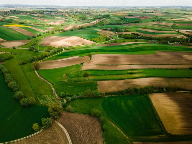 Campos agrícolas verdes vibrantes Plantas de cultivos frescos que crecen en FarmlandDrone View