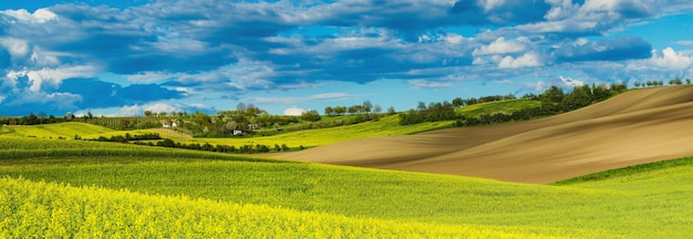 Campos amarillos de colza en primavera con cielo azul y colinas verdes, fondo estacional ecológico natural, panorama