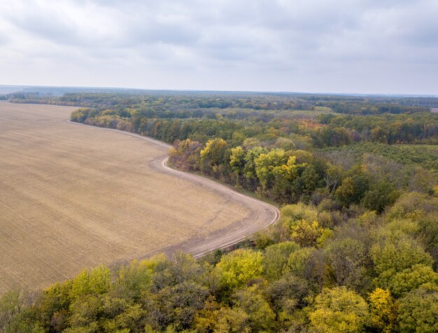 Campos arados agrícolas com bosques de outono amarelos em um dia nublado.