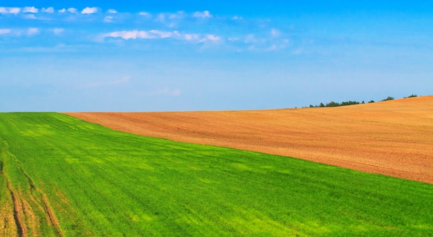 Campos arados e semeados no início da primavera. Fazendas, agricultura