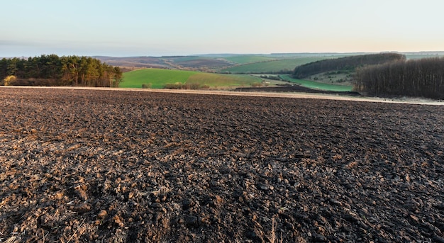 Campos aráveis e de crescimento de manhã de primavera e zona rural