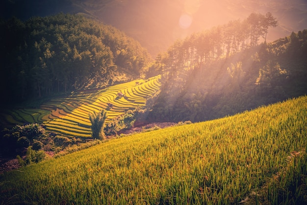 Campos del arroz en adosado con el pabellón de madera en la puesta del sol en Mu Cang Chai, YenBai, Vietnam.