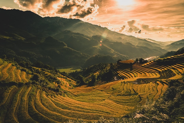 Los campos del arroz en colgante con el pabellón de madera en la salida del sol en MU Cang Chai, YenBai, Vietnam.