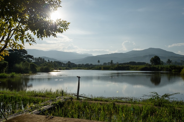 Campos de arroz. Es un campo cerca del lago en el distrito de Hod, Chiang Mai, Tailandia.