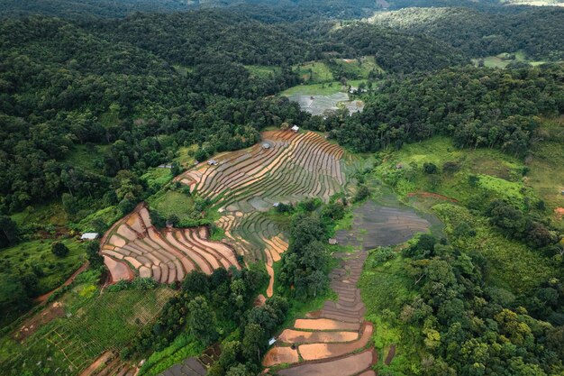 Campos de arroz fuera de la temporada de crecimiento