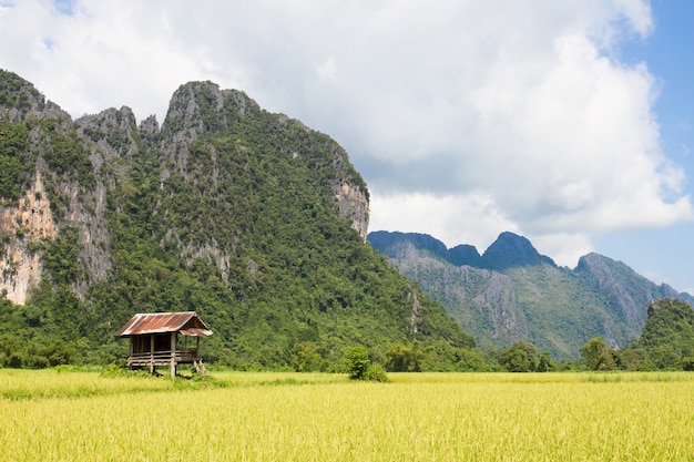 Foto campos de arroz y montaña y naturaleza de la cabina