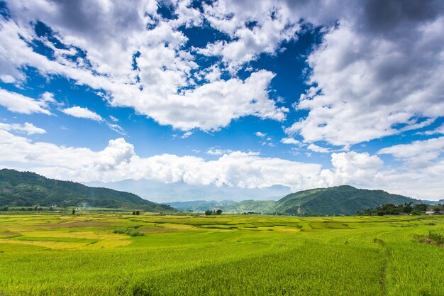 Foto campos de arroz en el noroeste de vietnam