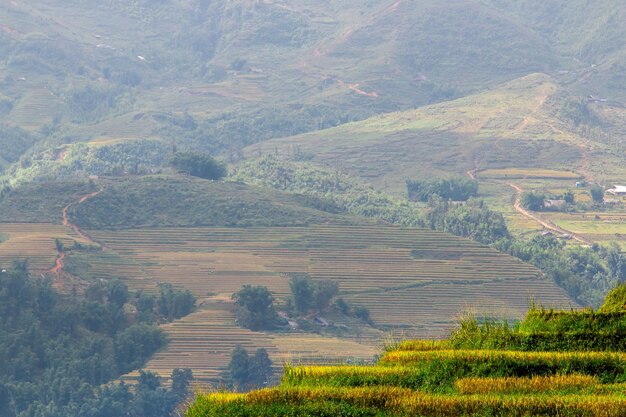 Campos de arroz en el noroeste de Vietnam