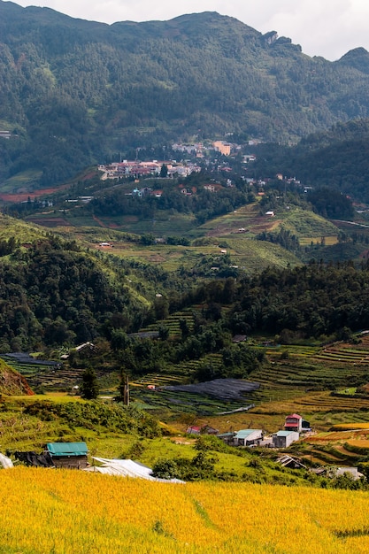 Campos de arroz en el noroeste de Vietnam