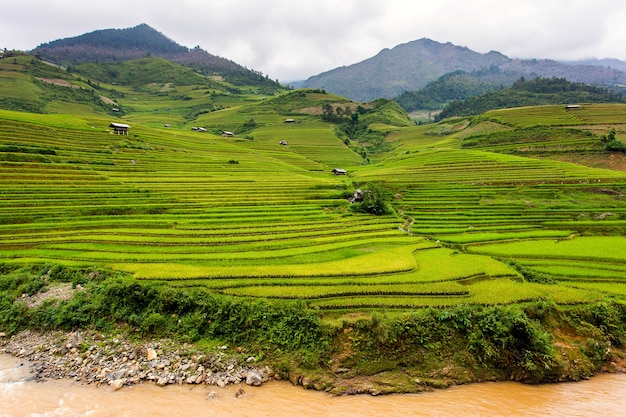 Campos de arroz en el noroeste de Vietnam