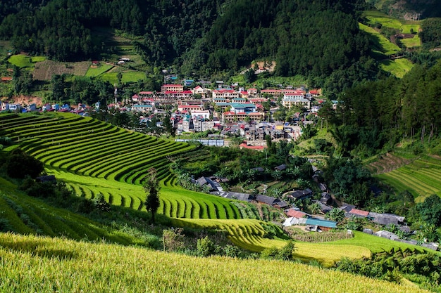 Campos de arroz en el noroeste de Vietnam