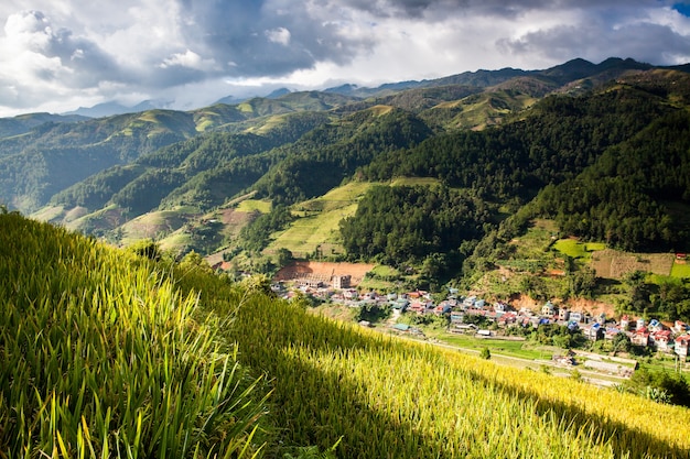 Campos de arroz en el noroeste de Vietnam