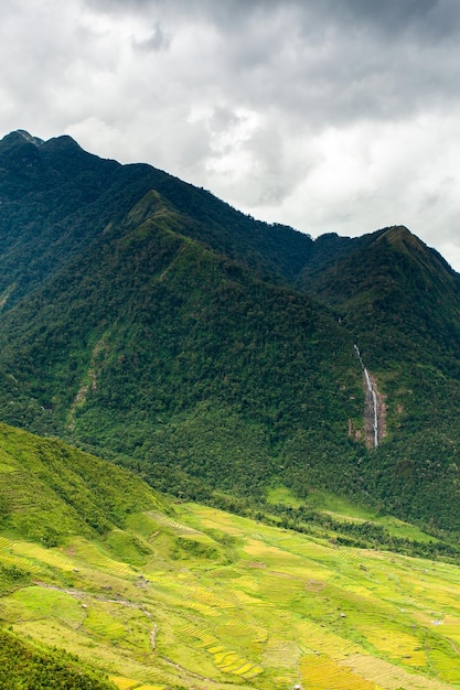 Campos de arroz en el noroeste de Vietnam