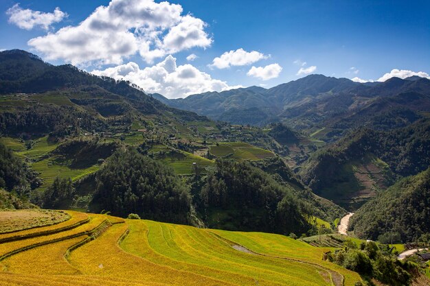 Campos de arroz en el noroeste de Vietnam