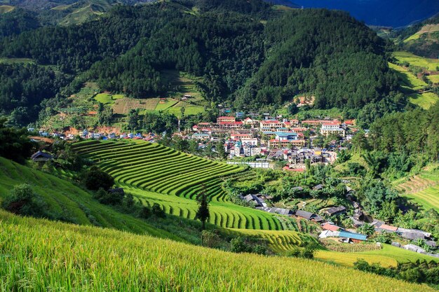 Los campos de arroz en la terraza en la temporada de lluvias en Mu Cang Chai Yen Bai Vietnam Los campos de trigo se preparan para el trasplante en el noroeste de Vietnam