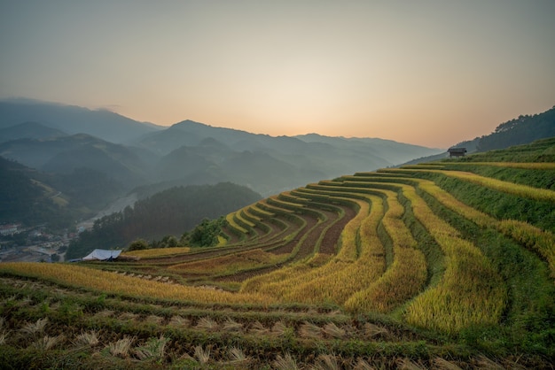 Campos de arroz en terrazas hermosa forma de Mu Cang Chai